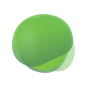 DDN logo