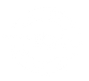 Dealers Supply Co logo