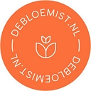 DeBallonnensite.nl logo