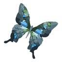 Debra New Zealand logo