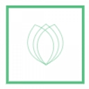 debt-experts.ca logo