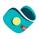 Debt Solution Advisor logo