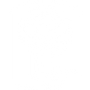 Decision Tree Consulting logo
