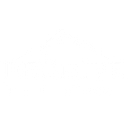 Decisive Nz logo