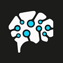 Deep Cognition logo