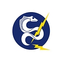 Deepsea Power & Light logo