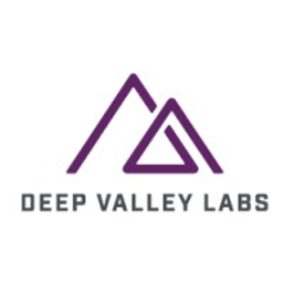 Deep Valley Labs, LLC logo