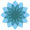 DeepX logo