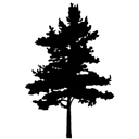 Deer Valley Ranch logo