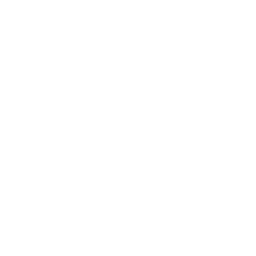 Defakto Security logo