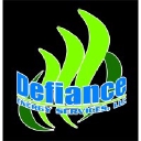 Defiance Energy Services, Llc logo