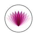 Definitive Construction Limited logo
