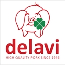 Delavi logo