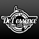 delessencedansmesveines.com logo