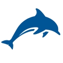 Delfin English School logo