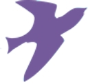 Delichon Limited logo