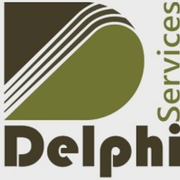 Delphi Services Ltd logo