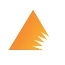 Delta Network Services logo