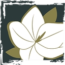 Del Vacchio Landscapes