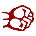 Demand Progress Action Inc logo