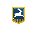 Dene Magna logo