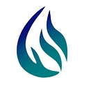 Denison Gas Limited logo