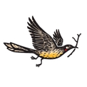 Dennis Family Corporation logo