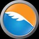 De Novo Review, Llc logo