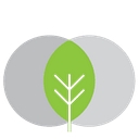 Integrative Dental Wellness