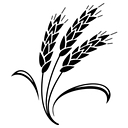 Denton Bible Church logo