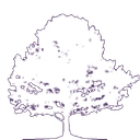 Tolison & Williams, Attorneys At Law, Llc logo