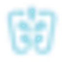 Denver Springs logo