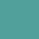 Derbyshire Care Services logo
