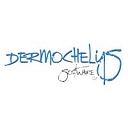 Favicon of Dermochelys Software, LLC