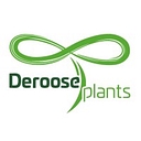 Deroose Plants Nv logo