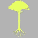 Derooted Creative Agency logo