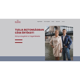 De Rossi Consulting Ltd logo