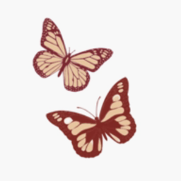 Derriford House Limited logo