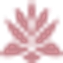 Desert View Care Center