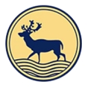 Desford Community Primary School logo