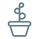 Design Plant