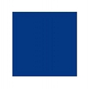 designpolitie.nl icon