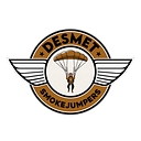 DeSmet Elementary School District logo