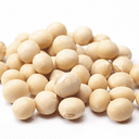 DELAWARE SOYBEAN BOARD logo