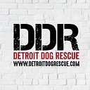 Detroit Dog Rescue logo