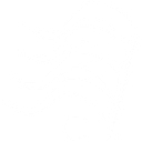 Detroit Service Learning Academy logo
