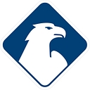 DFV DE logo