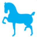 Devon Horse Show logo