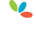 Town of De Witt logo