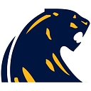 Dewitt Public Schools logo